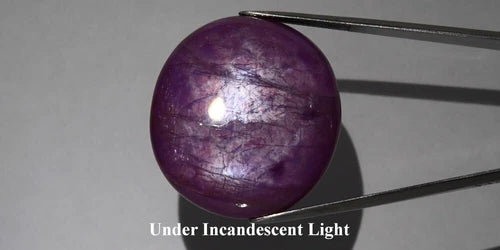 Oval purple gemstone with 6 rays star pattern, under incandescent light, on white background.