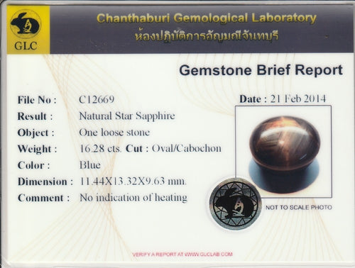 Laboratory report for GLC Report 16.28ct Oval Natural Blue 6 Ray Star Sapphire - Unheated Gemstone