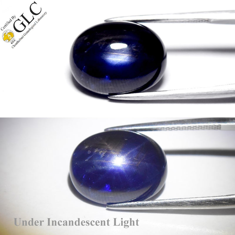 GLC CERTIFIED 15.03ct Natural Blue 6 Ray Star Sapphire - Unheated, Africa Gem