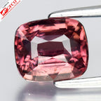 GFCO CERTIFIED 1.56ct Natural Padparadscha Sapphire - Heated, Madagascar Gem — view 1