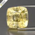 GLC Certified Full Report Unheated 13.78ct Cushion Natural Yellow Sapphire Sri-Lanka
