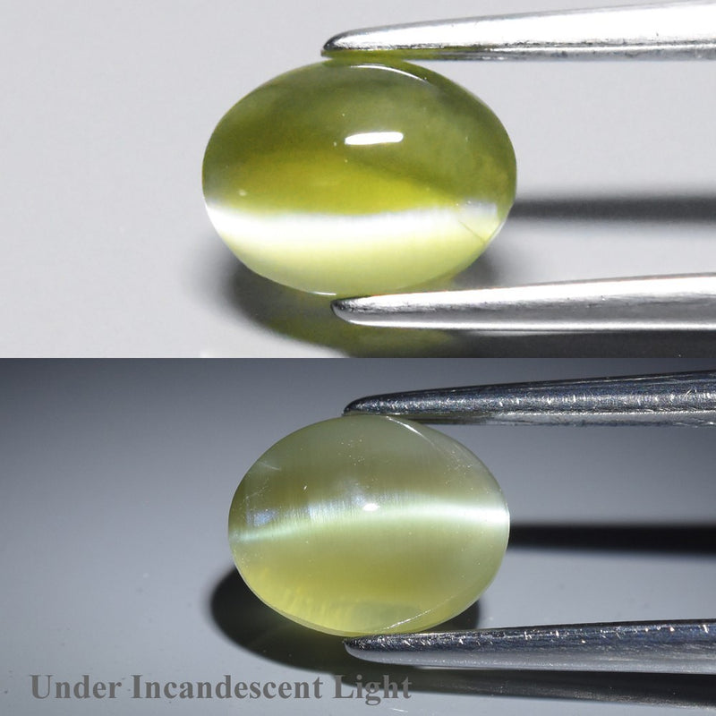 1.92ct 7.7x6mm Oval Cabochon Natural Green Cat's Eye Chrysoberyl - Ceylon Gem