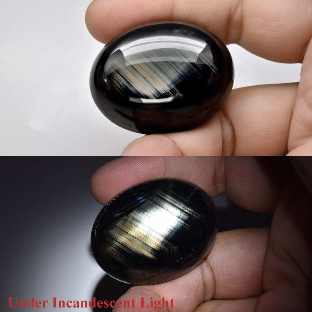 GLC Certified Jumbo 192.83ct Oval Cab Unheated Dark Bluish Green 6 Ray Star Sapphire