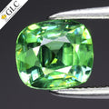 1.18ct Green Demantoid Garnet | Cushion